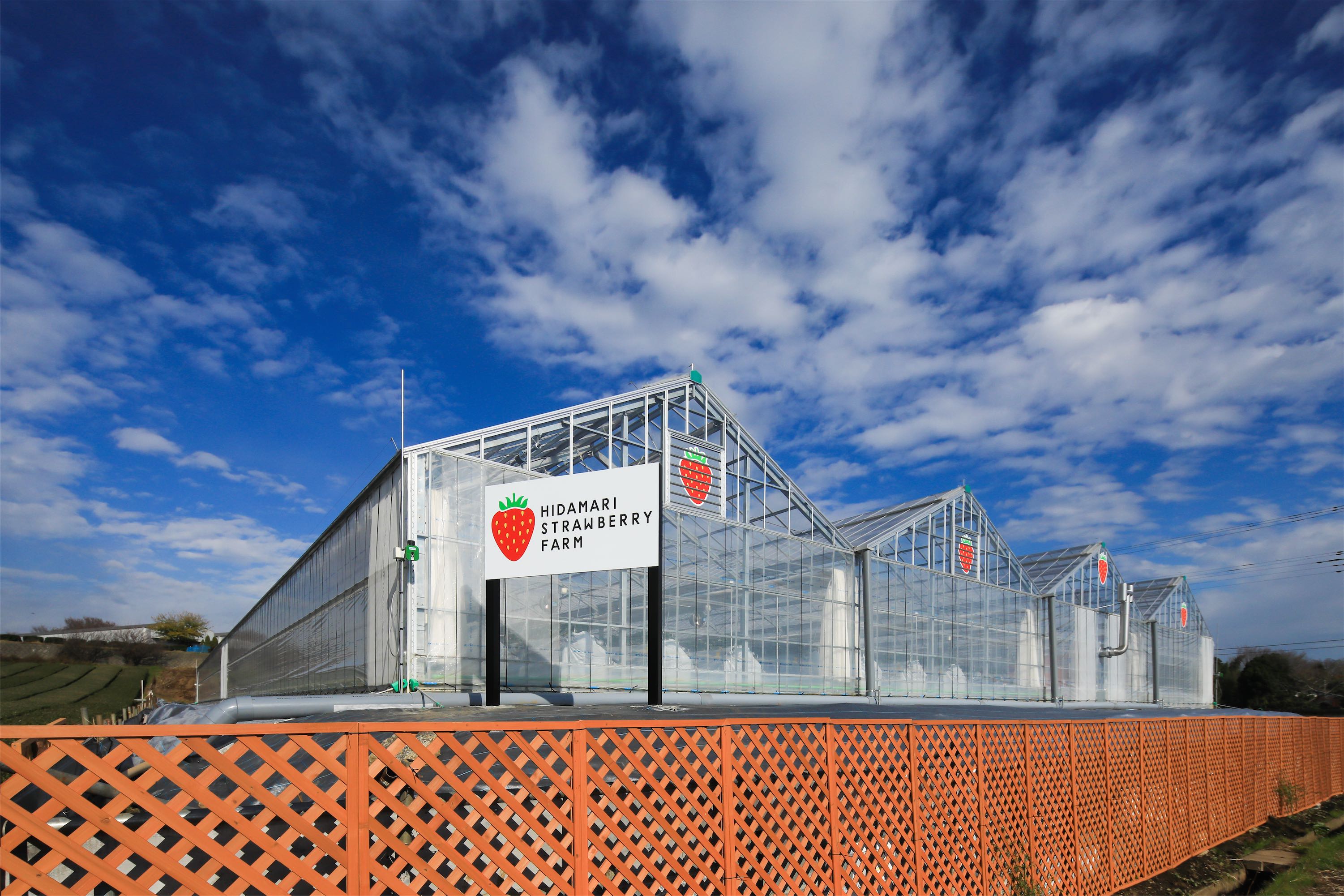 RXɈ͂܂ꂽꏊō͔|Ă܂BsYꎩR𖞋i邱Ƃ߂łB