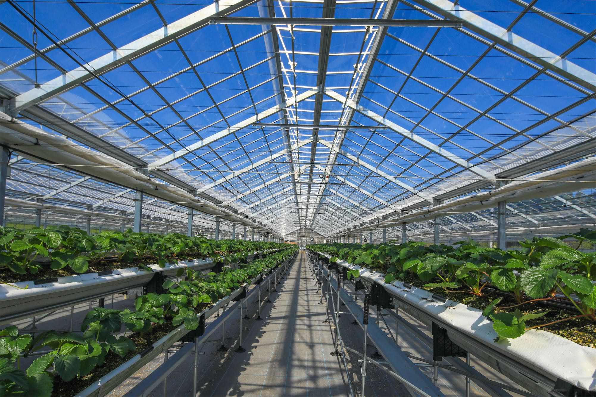 oAt[̂߂ɉO͂łiȂĂ܂B