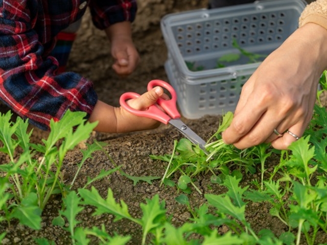 eq͂ĎňBqlłSɑ̌ł܂B