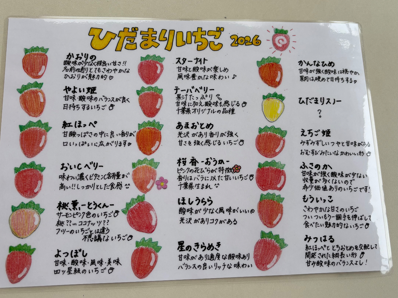 ���V�[�Y����18�i��