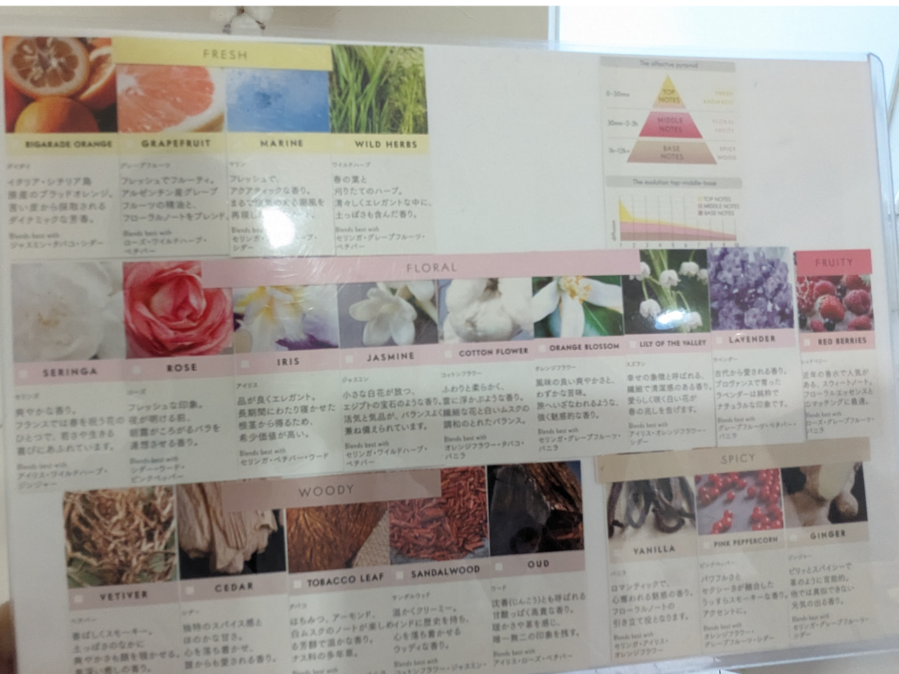 O[At[ApE_[AIG^Ȃǂ̃m[g()RɁIgbv`~h`x[Xƍ̕ωy߂{iIȃI[hgłB