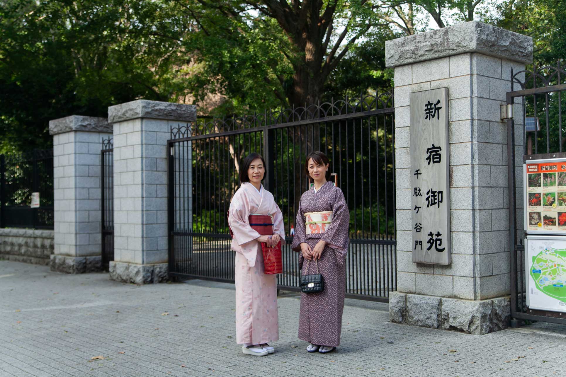 gty߂Vh䉑͓ꗿl500~