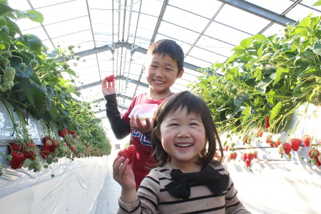 ނLxő傫ĊÂ􏬂qłĂ܂