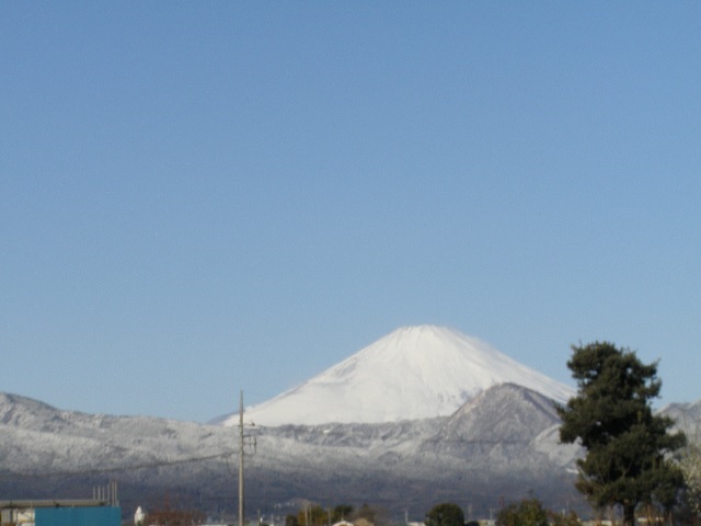 ����Ă�����́A�ቻ�ς̕x�m�R�����߂邱�Ƃ��ł��܂���