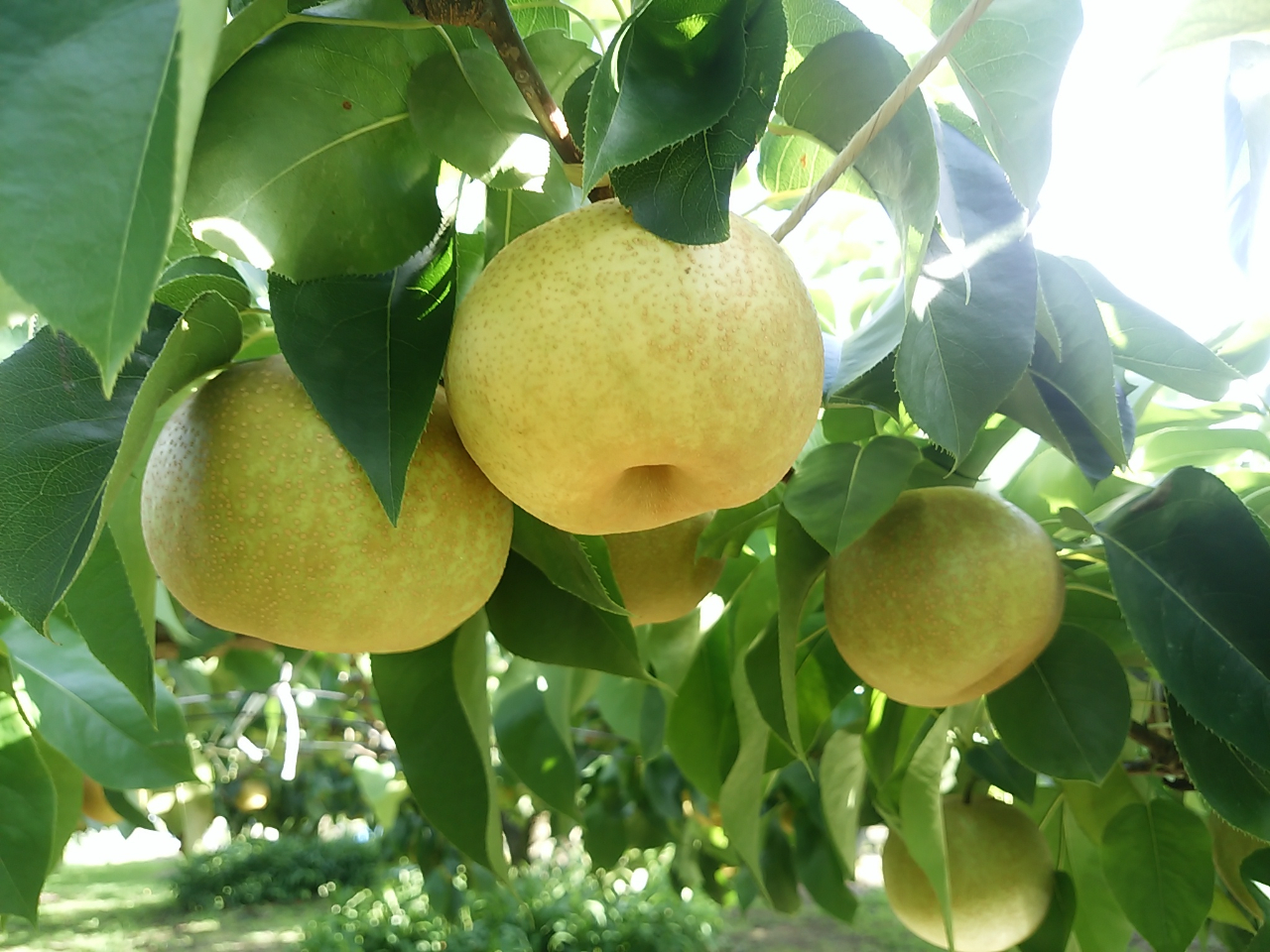 K`20I`쐅@G߂ɂ3ނ̗肪y߂܂I