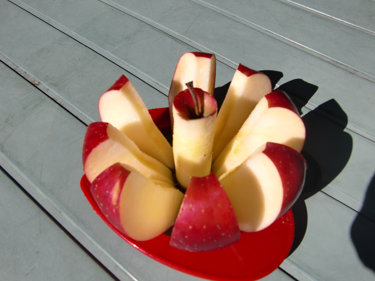 AbvJb^[݂oBȒP8ł܂I