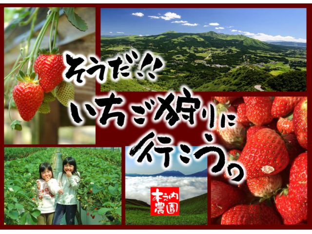 コロナ対策中 1月 4月上旬 復活open いちご狩り 無制限 かおりの ゆうべに よつぼし など食べ放題 ファミリー 女性 阿蘇いちご畑 じゃらん遊び体験 コロナ対策中 1月 4月上旬 復活open いちご狩り 無制限 かおりの ゆうべに よつぼし など食べ放題 ファミリー 女性 阿蘇いちご畑 じゃらん遊び体験