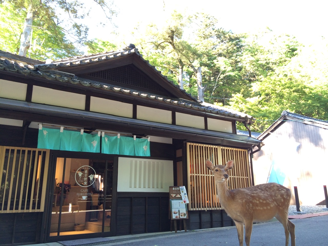 ޗǌɈʒutq͋߂ɏtЂDANZXłI