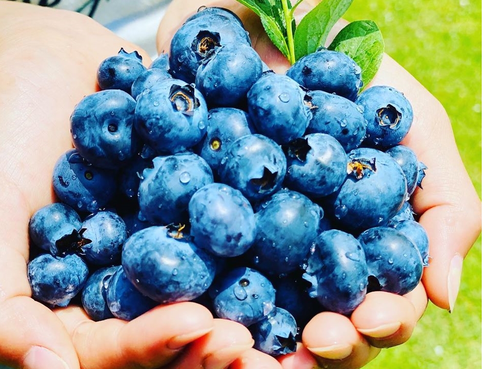 �u���[�x���[�H�ו����