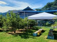 畑は3か所。畑の中に休憩用のテントがあります。 自由に畑を行き来して、おいしいブルーベリーを見つけよう!