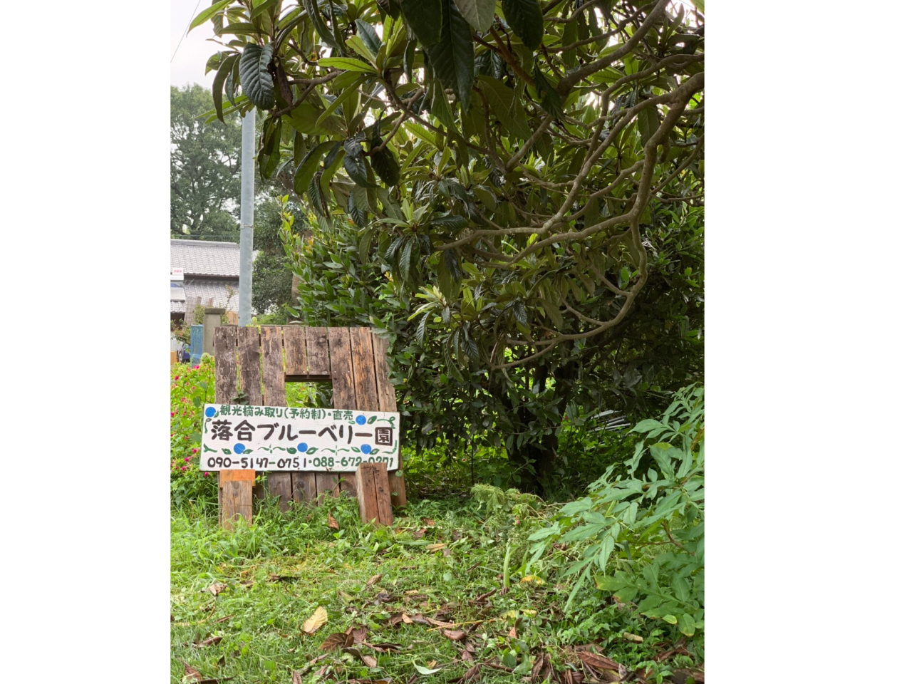 駐車場から小さな坂を上がってくる時、この看板が見えます。