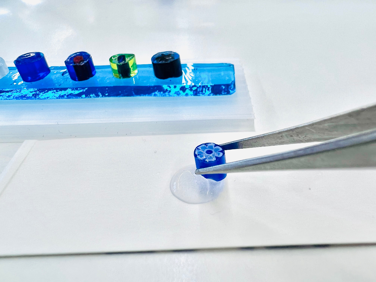 ̂ŃKX~߂犮IqŏĂĔł