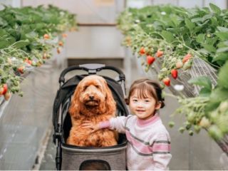 ワンちゃんも一緒にお楽しみいただけます♪
