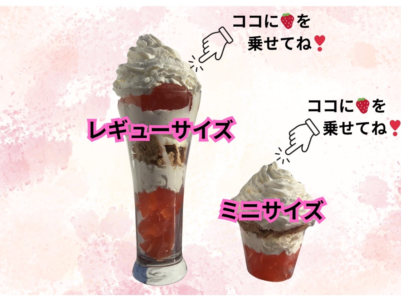 M[TCÝwptFxAE~jTCÝwptFxłB