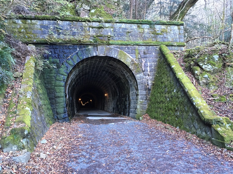 伊豆 天城峠 川端康成の足跡を辿る 伊豆の踊子ツアー マウンテンガイドサービス自遊舎 じゃらん遊び体験