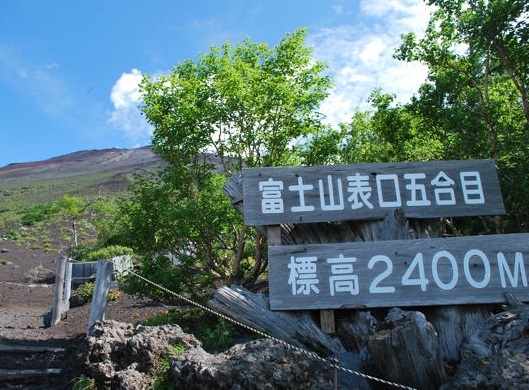 �x�m�o�R���̒��ł͍ł��W���̍����u�x�m�{���i2,400���j�v����X�^�[�g�I