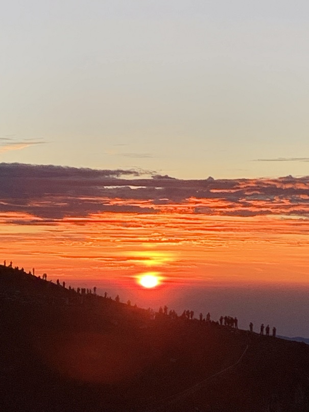 �R�����O�ɂĊ����̂������������܂��I