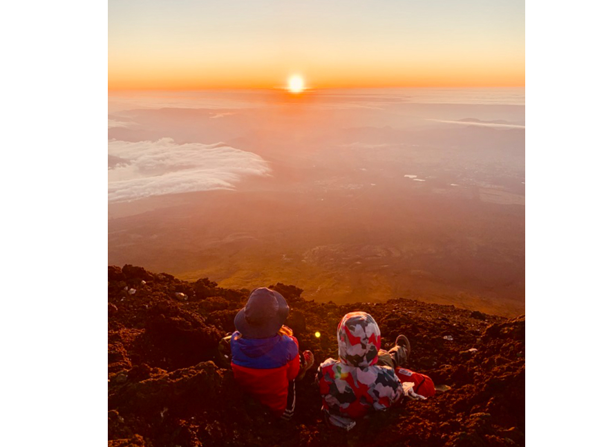 �x�m�R������̊����̂������𐥔񂲗����������I