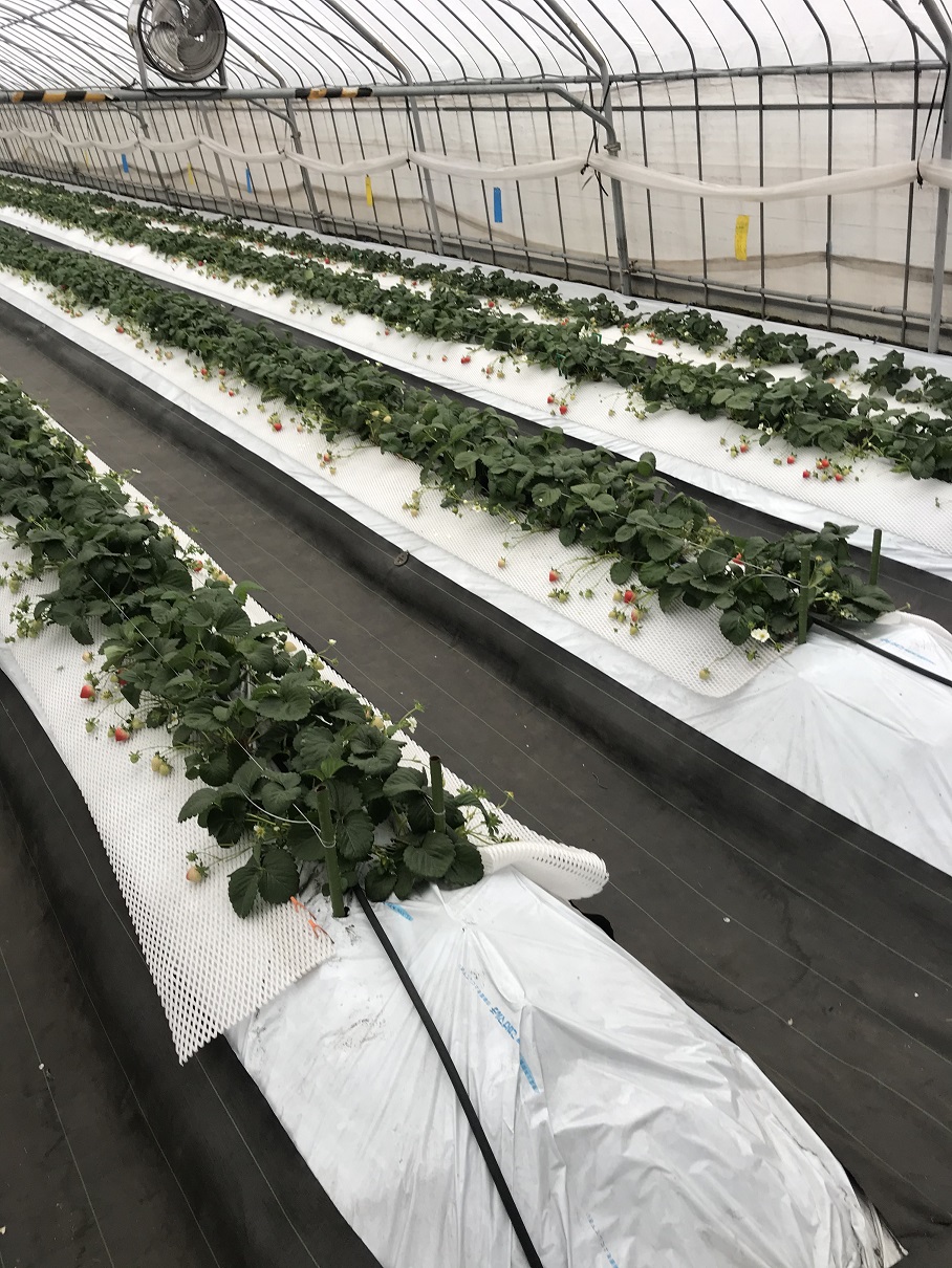 yk͔|͒ʘHH₢Q鎖\ł( `tL)د