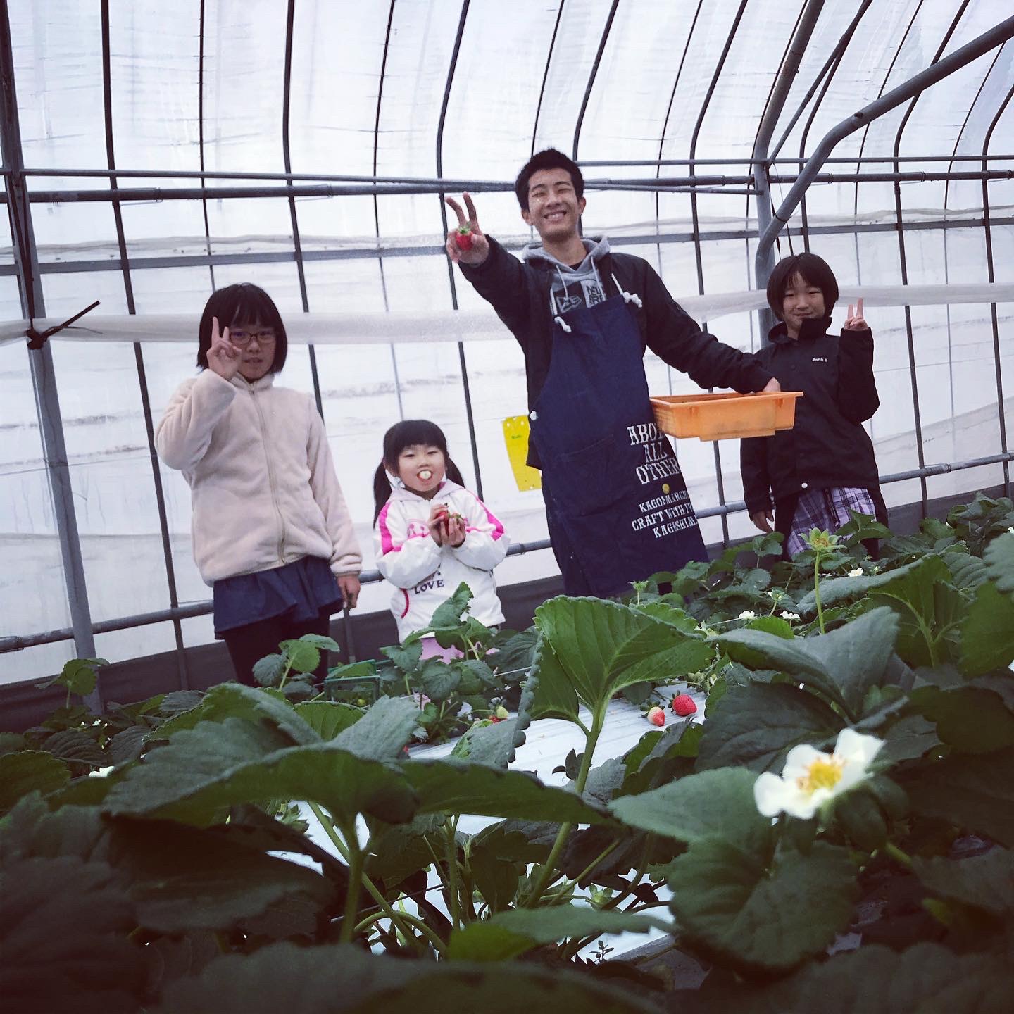 �A�b�g�z�[���ȕ��͋C�̃X���[�Ȗ����̋�ԁO�O