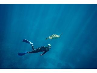 宮古島 スキンダイビング 完全貸切 ウミガメのちサメ時々マダラトビエイ 深めのポイントでスキンダイビング Fun Enjoy Miyakojima じゃらん遊び体験