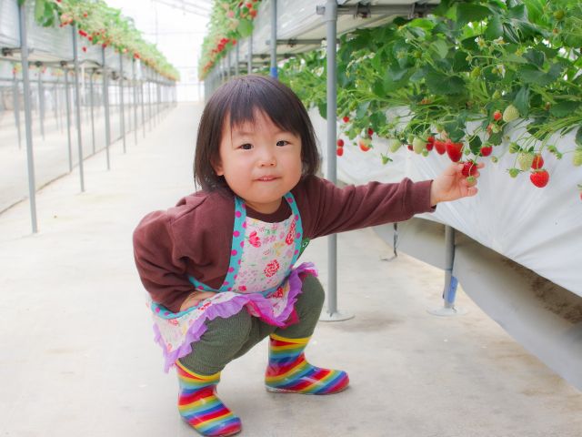小さなお子様でもお楽しみいただけます。