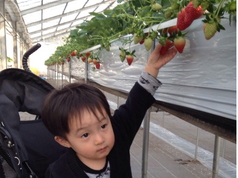 xr[J[̂qlԂ̕܂ŁAǂȂ܂ɂy݂܂