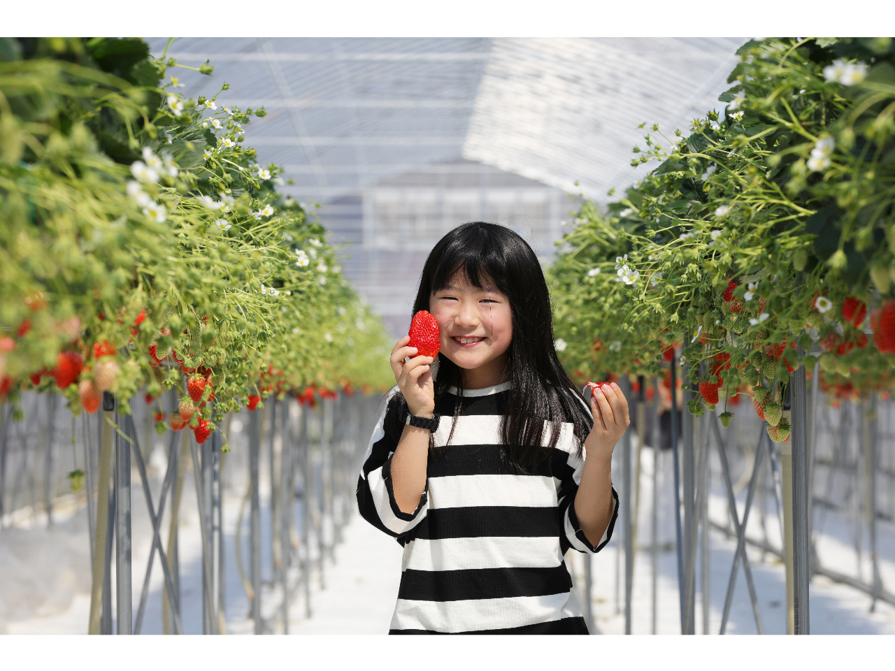 lC̍ݍ͔|őlqyEݎ̌ł܂B