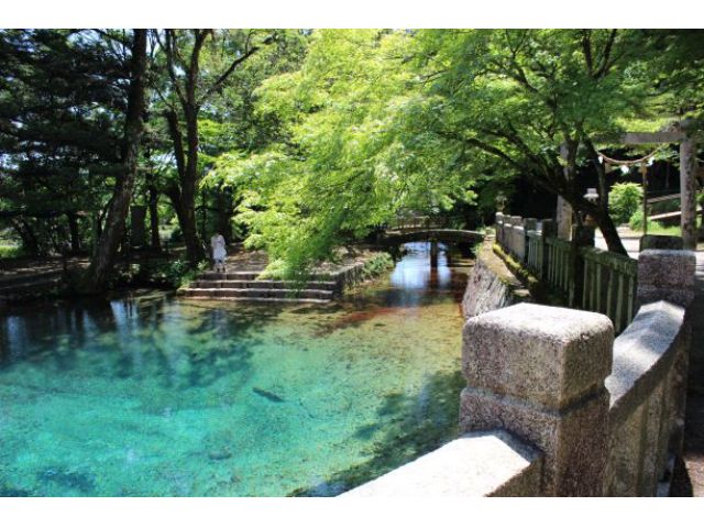 神秘の泉「別府弁天池」もおすすめです
