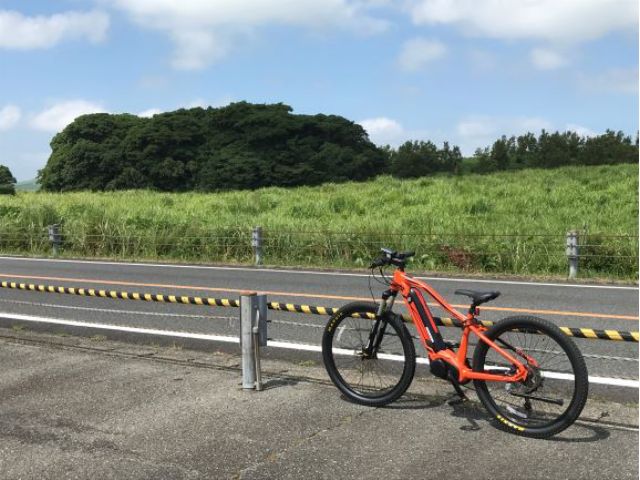 秋吉台唯一の原生林「長者ヶ森」