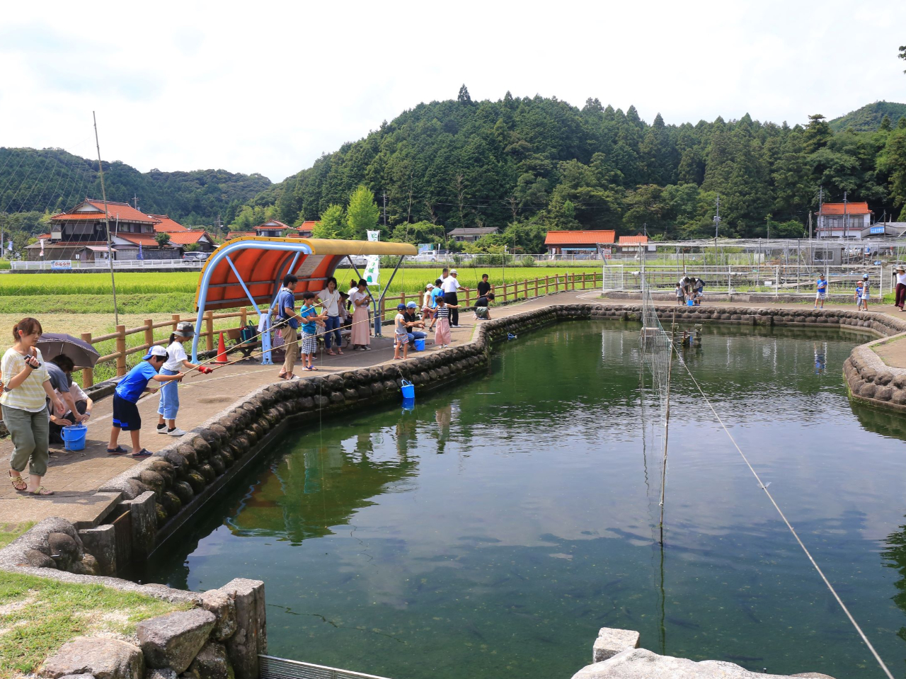 ʕ{ٓVrɂ{ɂ͒ނxAt@~[ɂ߂ł