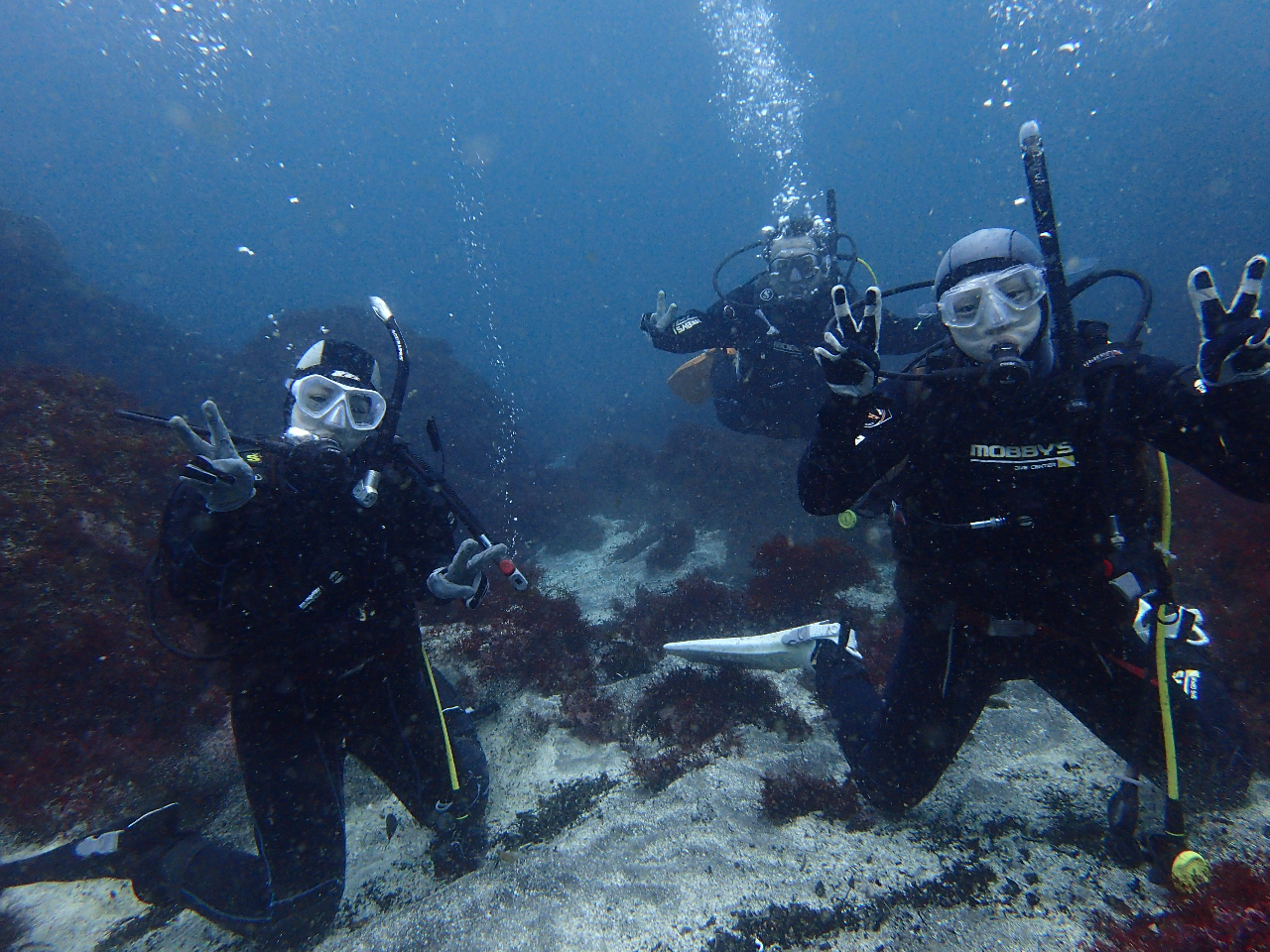 ɓ̊C𖞋iICXgN^[背N`[܂