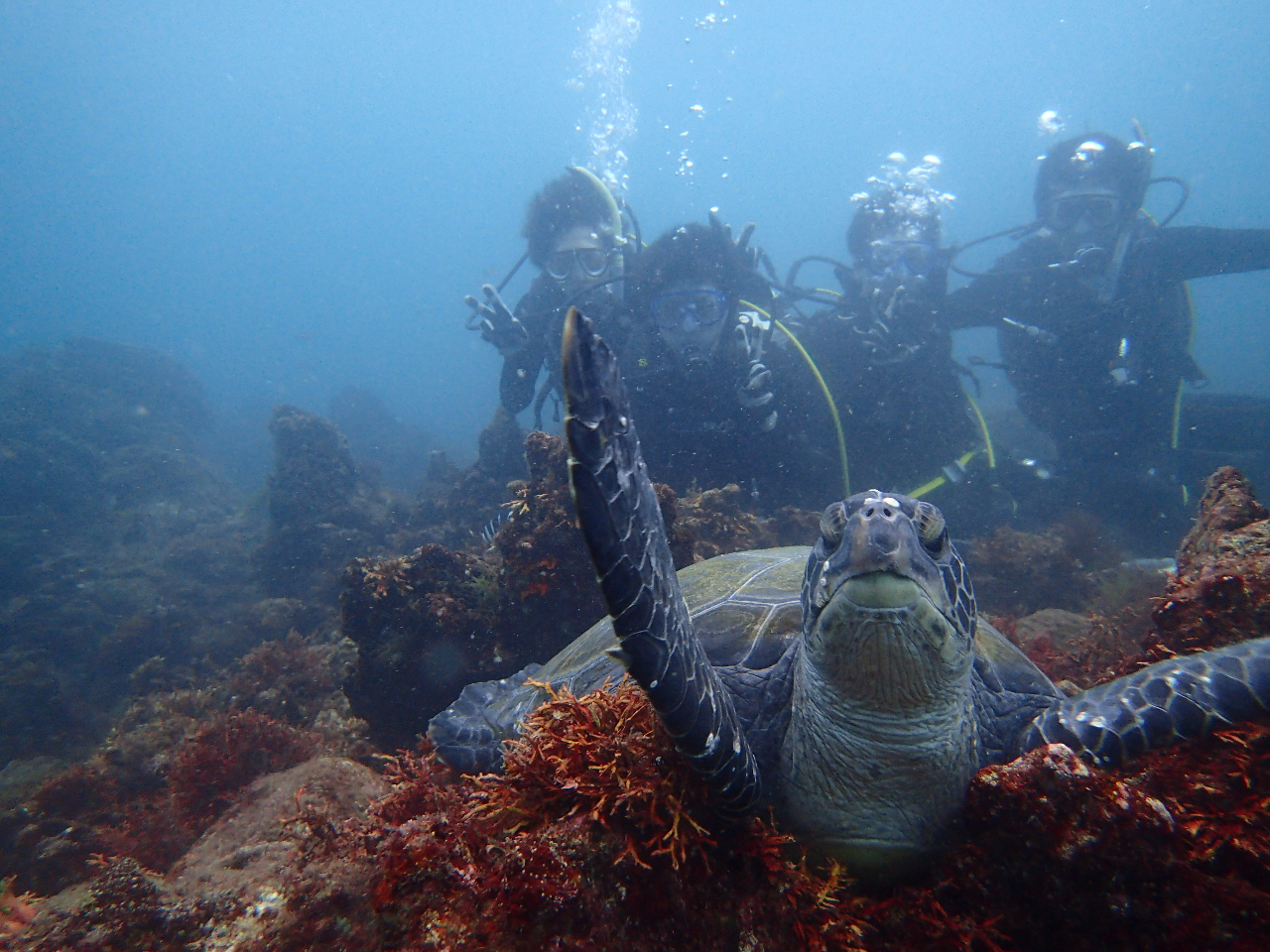 �^���ǂ���΃E�~�K���`�����X���I�H