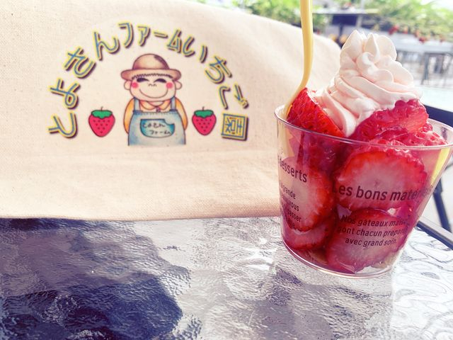 ptF쐻̌pg[gobOiMdij