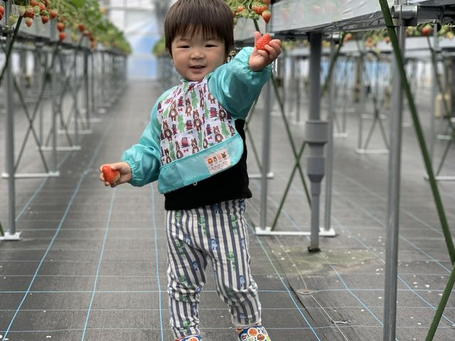 ���q�l���y���݂₷�����ݍ͔|�ł���