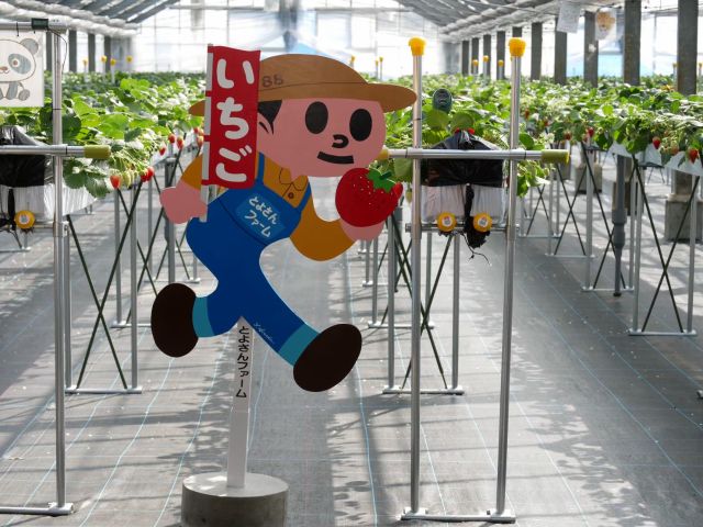 とび太君がお出迎えしてくれます。