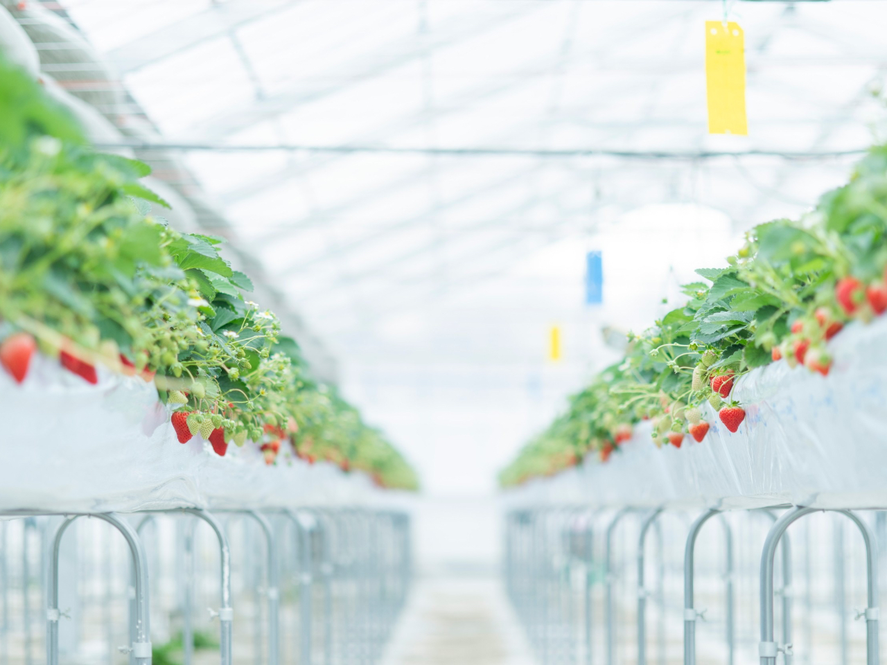 �������������������p�ӂ��Ă��҂����Ă���܂��I