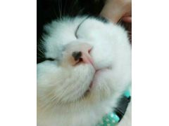 豊田市駅周辺の動物カフェランキングtop3 じゃらんnet 豊田市駅周辺の動物カフェランキングtop3 じゃらんnet