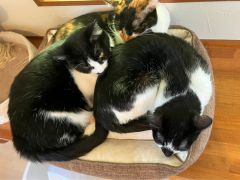 3姉妹でみっちり