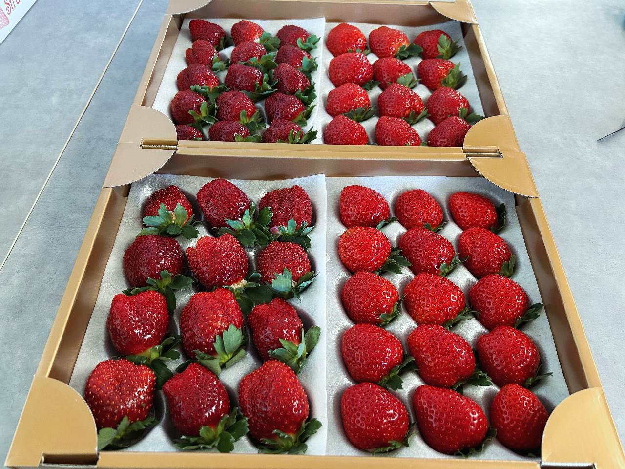 1/10～4/5【土日】≪スタンダードプラン≫＼2部制にしてます／60分