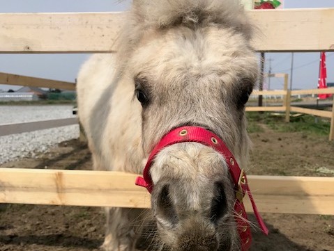 4/11~シーズン終わり【土日GW】≪スタンダードプラン≫ \2部制にしてます/...