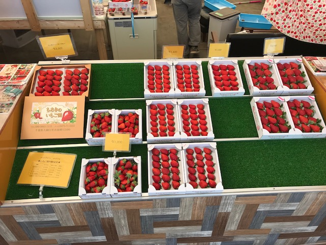 �ꖡ�Ⴄ�����̂������𐥔񖡌����Ă��������I