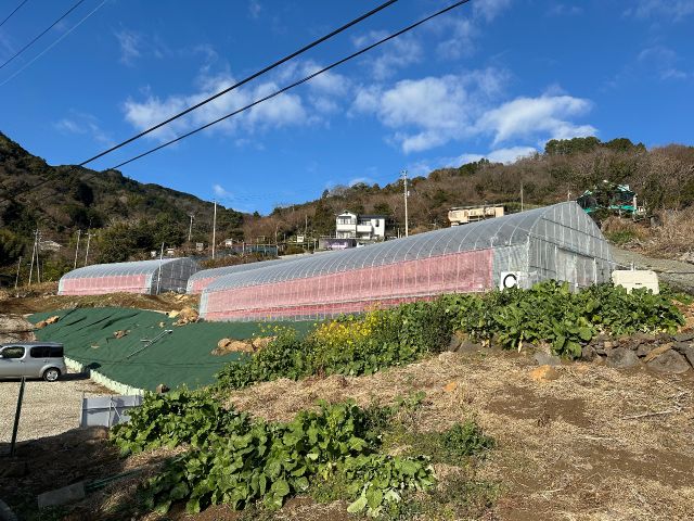 いちごハウスの外観