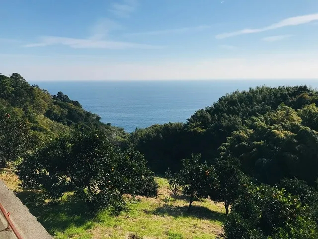 nEX璭߂鑊͘p͐[ڗFĂ܂Ђ炯ꏊɃnEXA͑z񗁂т̂ŊÂ傫Ă܂