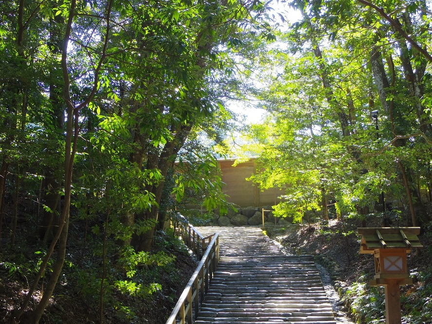 �����𗁂т��r�Ջ{�֌������K�i