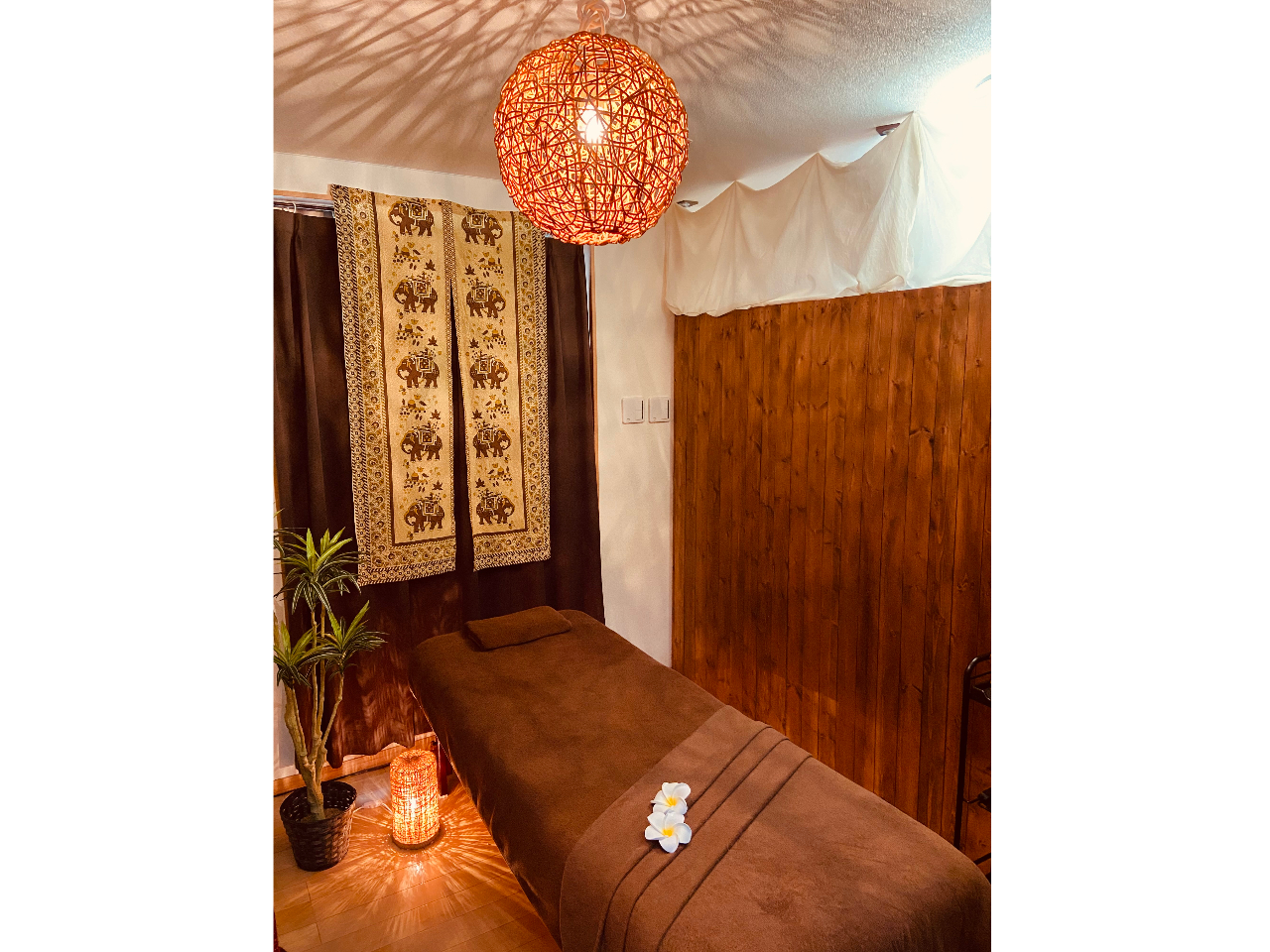 AWA̖ԂŊwт܂B߂߂Bł}c[}bX