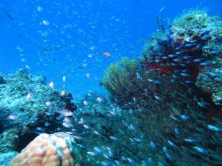 水納島 Croissant Island