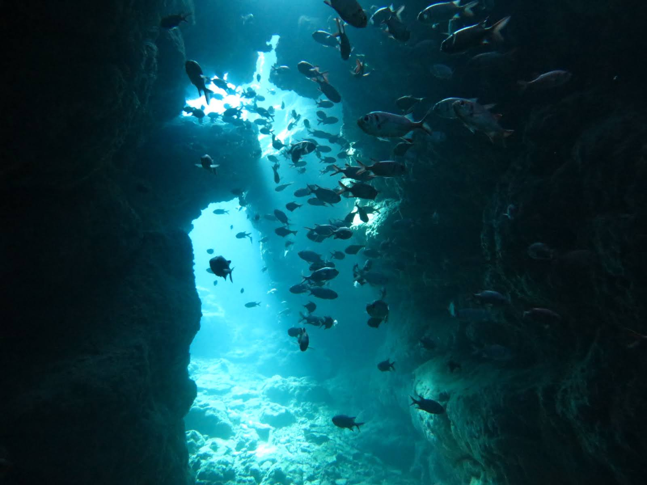 ꓇@Sesoko Island labirynth