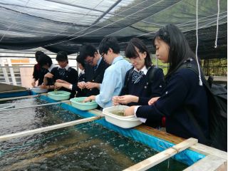 うるま市 平安座島 お土産付き とっておきの海ぶどうを養殖 収穫体験 海ぶどう平安座養殖場 じゃらん遊び体験 うるま市 平安座島 お土産付き とっておきの海ぶどうを養殖 収穫体験 海ぶどう平安座養殖場 じゃらん遊び体験