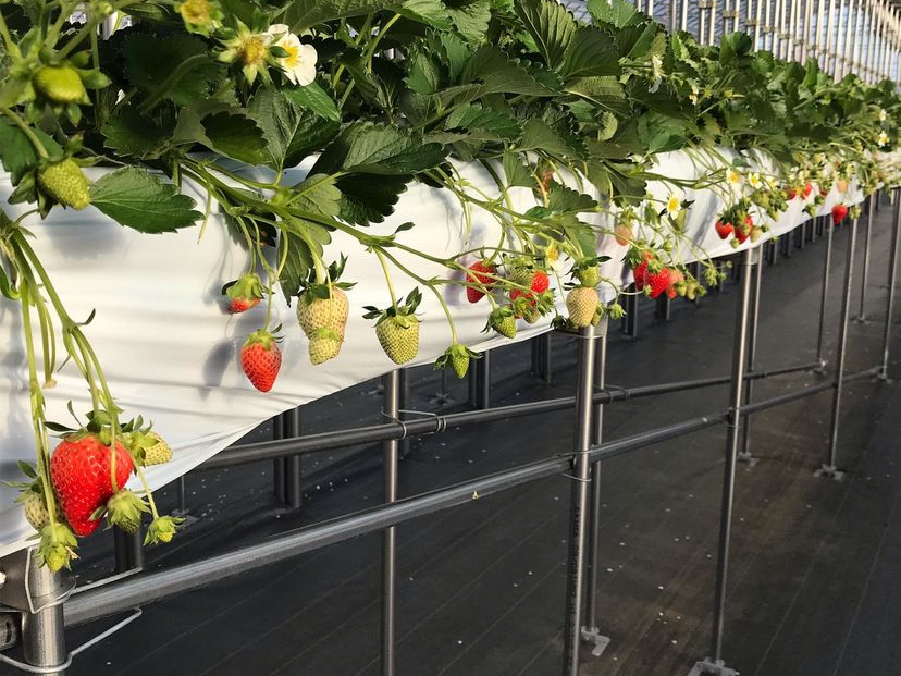 ݍ͔|oAt[łǂȂSĊy߂܂I